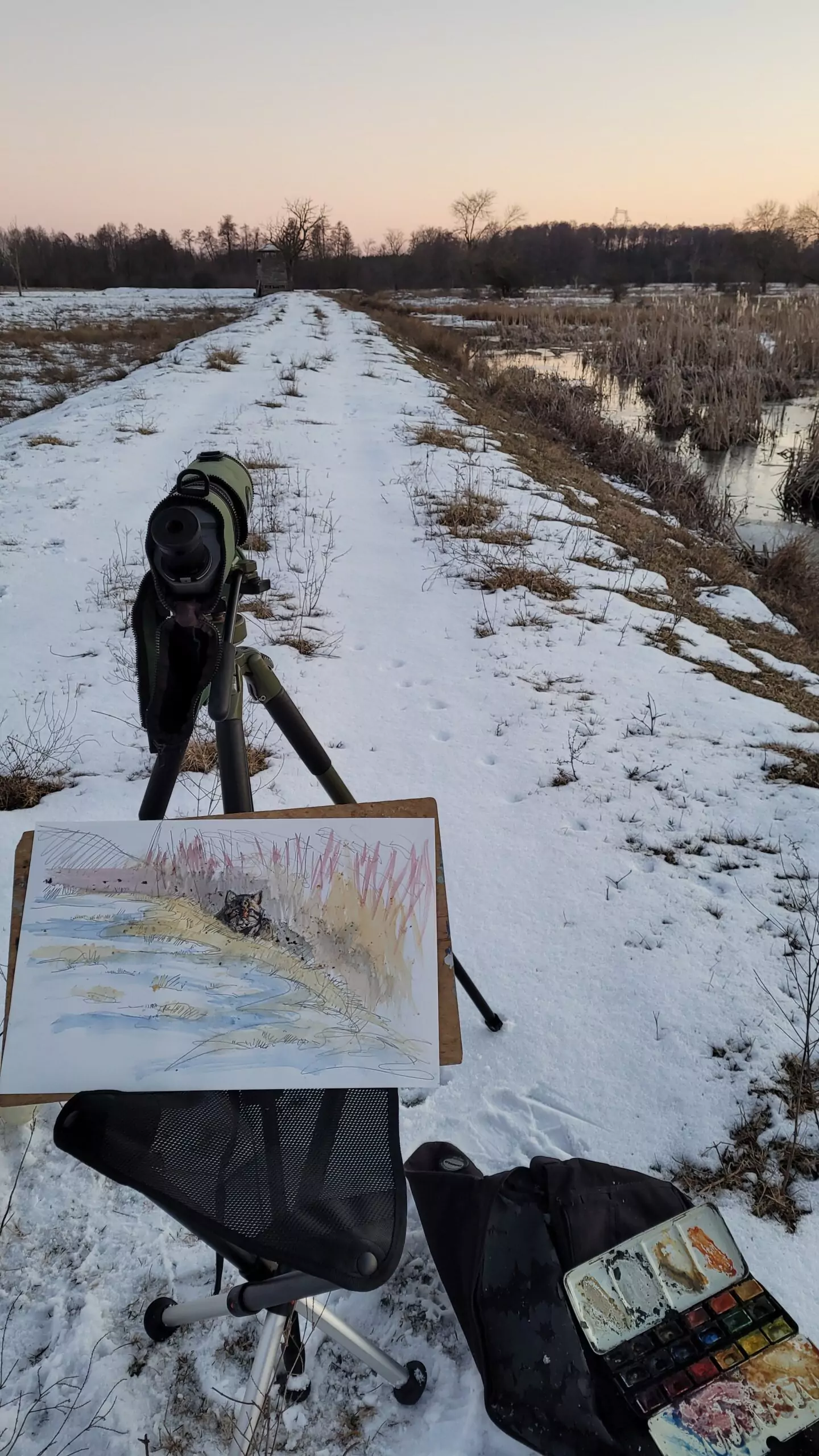 Blog-1-Vadmacska-scaled