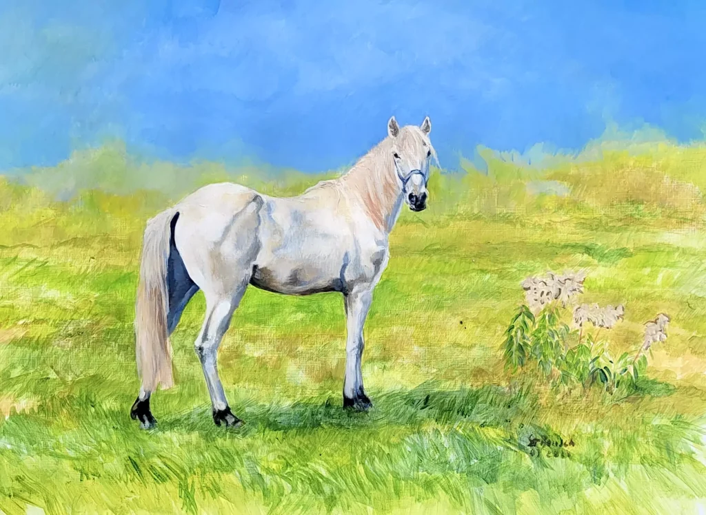 Horse portrait ‘Silver’, Somogyfajsz, acrylic, private property