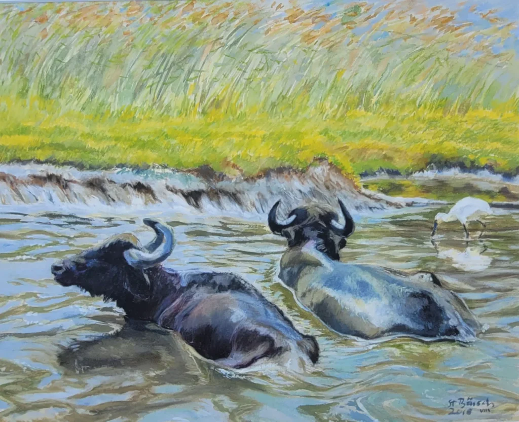 Hűsölni vágyó vízibivalyok, Kápolnapusztai bivalyrezervátum, vegyes technika, karton, a kép a magyar állam tulajdona