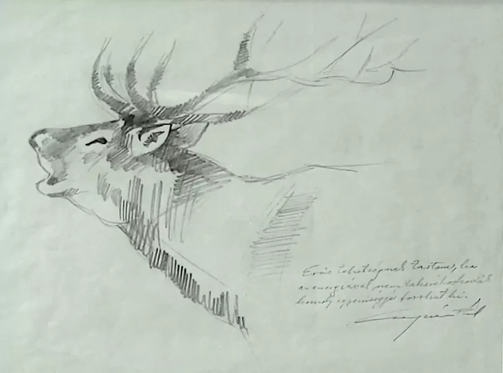 Rothirsch_CsergezánPál_Widmung